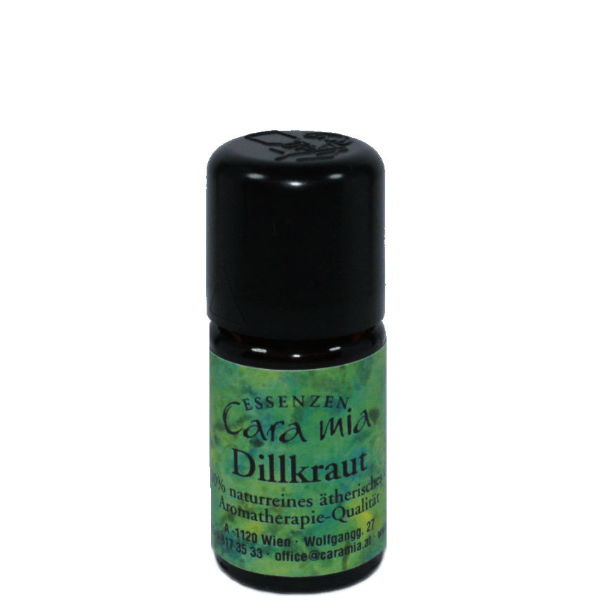 Dillkraut Anethum graveolens 100% naturreines ätherisches Öl in Cara Mia Institut in Wien. Ätherische Öle, Seminare.