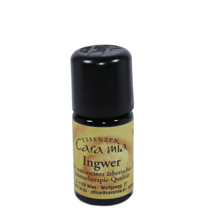 Ingwer Zingiber officinalis 100% naturreines ätherisches Öl in Cara Mia Institut in Wien. Ätherische Öle, Seminare.