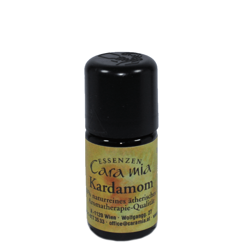 Kardamom Elettaria cardamomum 100% naturreines ätherisches Öl in Cara Mia Institut in Wien. Ätherische Öle, Seminare.