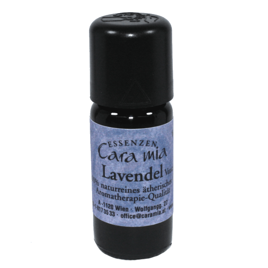 Lavendel Lavandula angustifolia 100% naturreines ätherisches Öl in Cara Mia Institut in Wien. Ätherische Öle, Seminare.