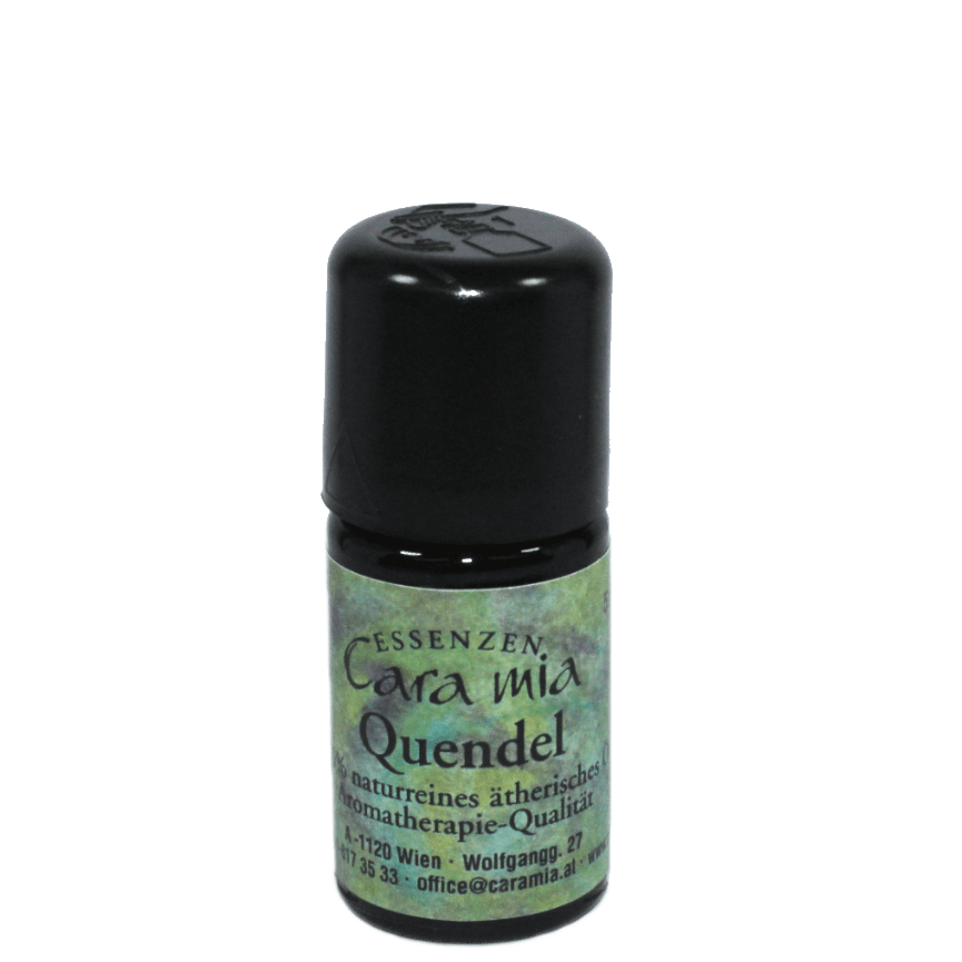 Quendel Thymus serpyllum 100% naturreines ätherisches Öl in Cara Mia Institut in Wien. Ätherische Öle, Seminare.