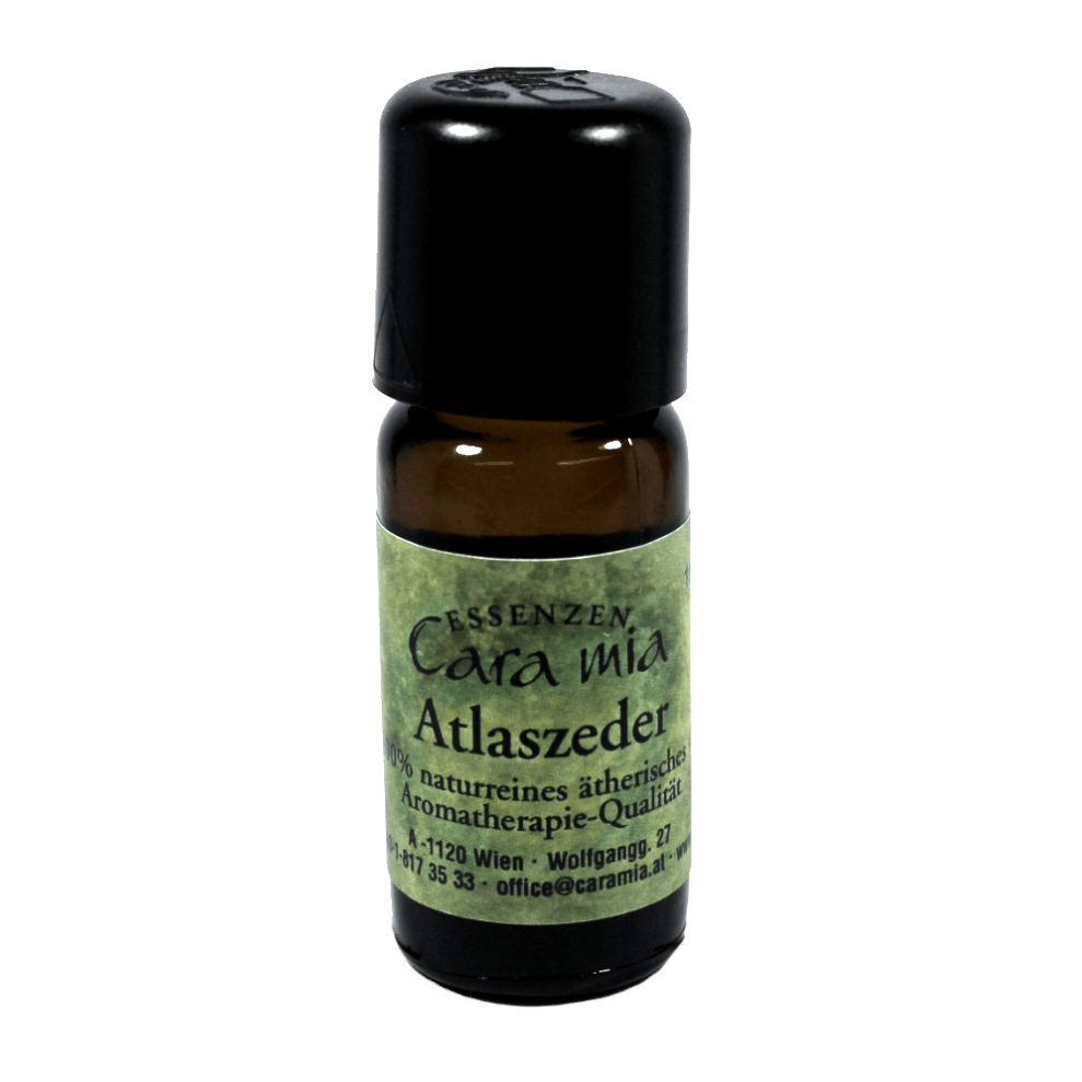 Atlaszeder Cedrus atlantica 100% naturreines ätherisches Öl in Cara Mia Institut in Wien. Ätherische Öle, Seminare.