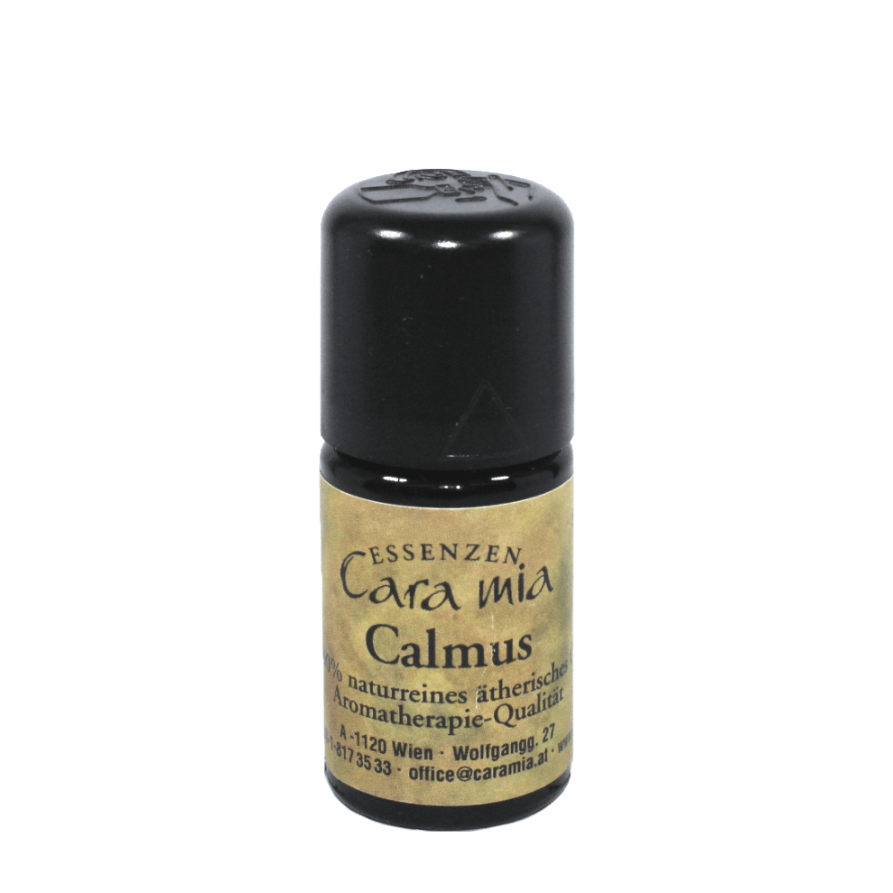 Calmus Acorus calamarus