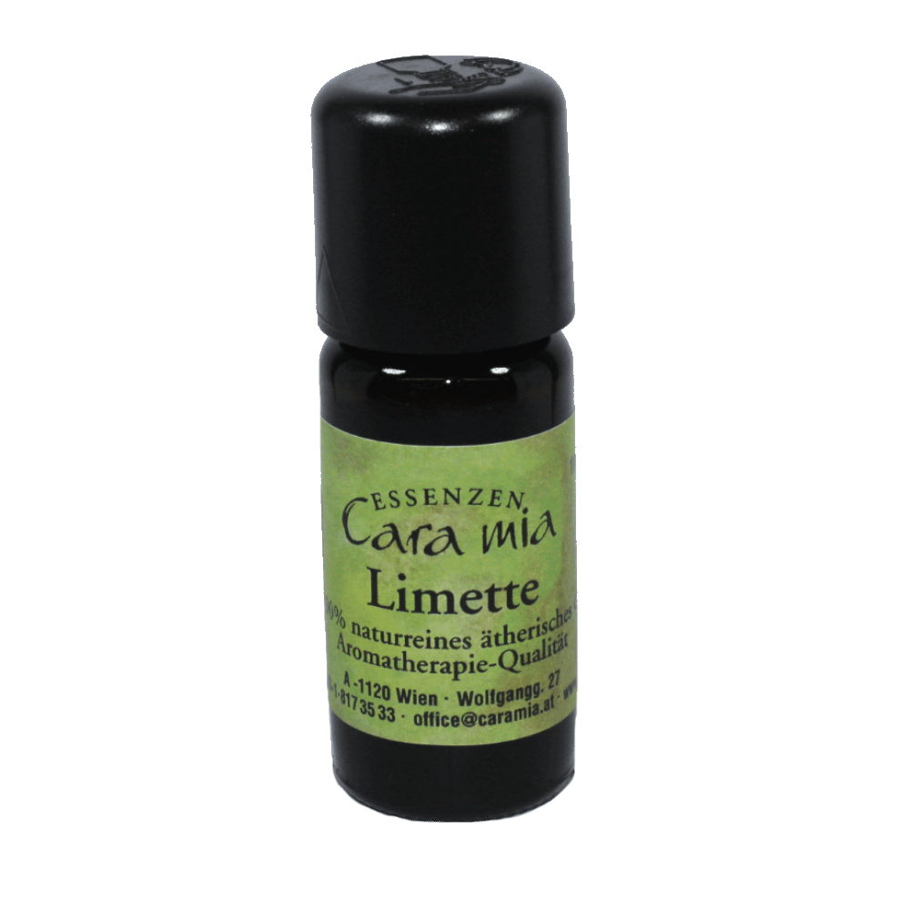 Limette Citrus aurantifolia rzel Levisticum officinale 100% naturreines ätherisches Öl in Cara Mia Institut in Wien. Ätherische Öle, Seminare.